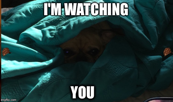 The stalker | I'M WATCHING; YOU | image tagged in memes | made w/ Imgflip meme maker