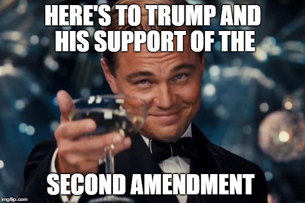 Leonardo Dicaprio Cheers | HERE'S TO TRUMP AND HIS SUPPORT OF THE; SECOND AMENDMENT | image tagged in memes,leonardo dicaprio cheers | made w/ Imgflip meme maker