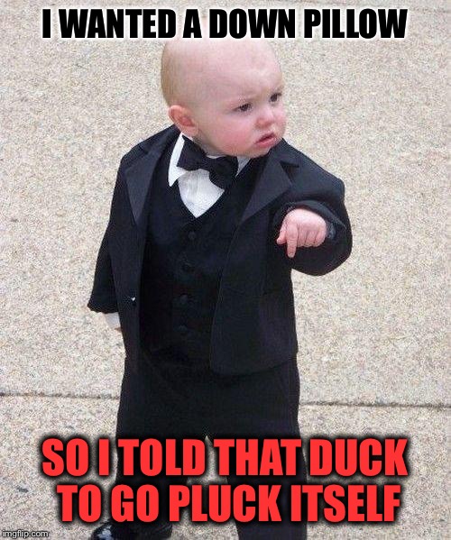 Godfather Baby |  I WANTED A DOWN PILLOW; SO I TOLD THAT DUCK TO GO PLUCK ITSELF | image tagged in godfather baby | made w/ Imgflip meme maker
