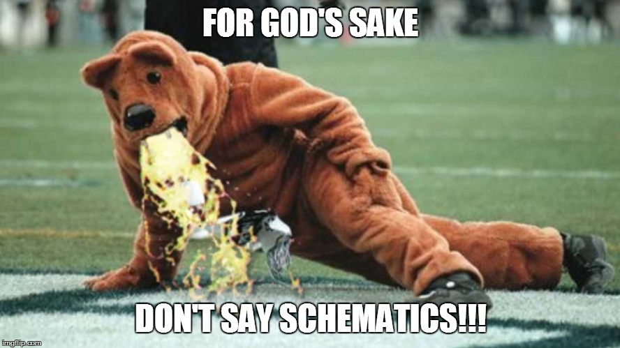 drunk | FOR GOD'S SAKE; DON'T SAY SCHEMATICS!!! | image tagged in drunk | made w/ Imgflip meme maker