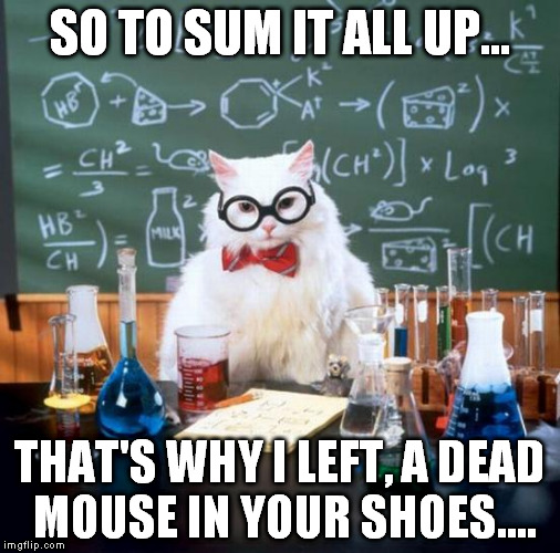 Chemistry Cat Meme | SO TO SUM IT ALL UP... THAT'S WHY I LEFT, A DEAD MOUSE IN YOUR SHOES.... | image tagged in memes,chemistry cat | made w/ Imgflip meme maker