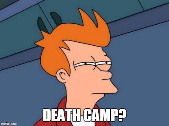 Futurama Fry Meme | DEATH CAMP? | image tagged in memes,futurama fry | made w/ Imgflip meme maker