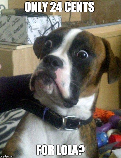 Blankie the Shocked Dog | ONLY 24 CENTS; FOR LOLA? | image tagged in blankie the shocked dog | made w/ Imgflip meme maker