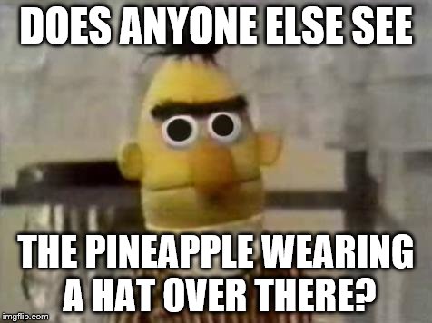 Bert Stare | DOES ANYONE ELSE SEE; THE PINEAPPLE WEARING A HAT OVER THERE? | image tagged in bert stare | made w/ Imgflip meme maker