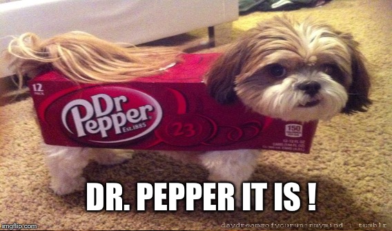 DR. PEPPER IT IS ! | made w/ Imgflip meme maker