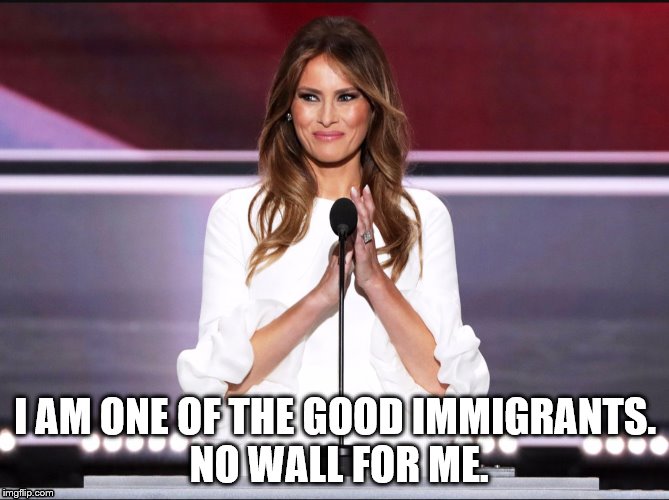 Melania trump meme | I AM ONE OF THE GOOD IMMIGRANTS. NO WALL FOR ME. | image tagged in melania trump meme,donald trump approves,immigration,trump wall | made w/ Imgflip meme maker