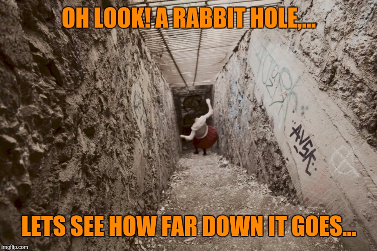 OH LOOK! A RABBIT HOLE,... LETS SEE HOW FAR DOWN IT GOES... | made w/ Imgflip meme maker