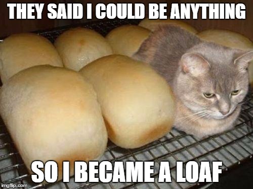 cat loaf | THEY SAID I COULD BE ANYTHING; SO I BECAME A LOAF | image tagged in cat loaf | made w/ Imgflip meme maker