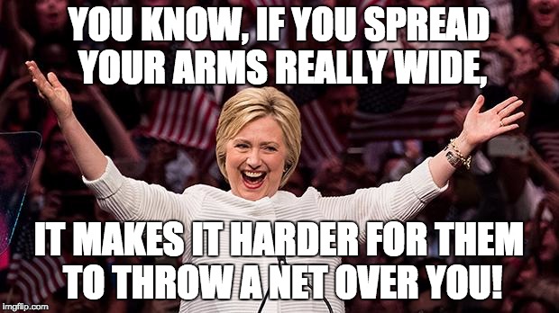 Hillary for the Mental Ward | YOU KNOW, IF YOU SPREAD YOUR ARMS REALLY WIDE, IT MAKES IT HARDER FOR THEM TO THROW A NET OVER YOU! | image tagged in donald trump,donald trump approves,donald trump 2016,hillary 2016,dnc,rnc | made w/ Imgflip meme maker