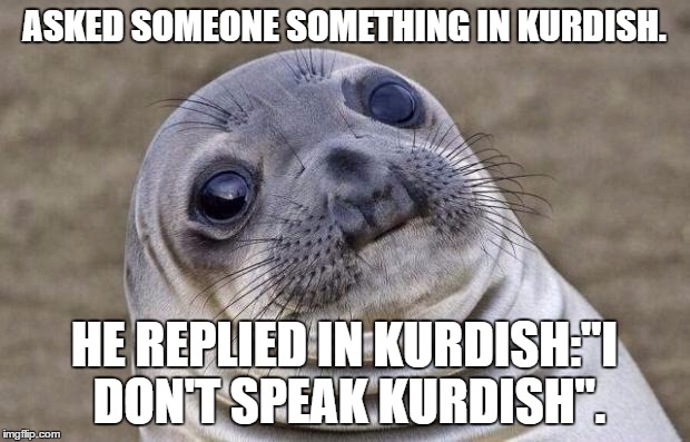 Awkward Seal | ASKED SOMEONE SOMETHING IN KURDISH. HE REPLIED IN KURDISH:"I DON'T SPEAK KURDISH". | image tagged in awkward seal,AdviceAnimals | made w/ Imgflip meme maker