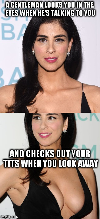 Tell me it ain't true!                        (And why doesn't "tits" get auto-flagged?) | A GENTLEMAN LOOKS YOU IN THE EYES WHEN HE'S TALKING TO YOU; AND CHECKS OUT YOUR TITS WHEN YOU LOOK AWAY | image tagged in sarah silverman,meme,gentleman,tits | made w/ Imgflip meme maker