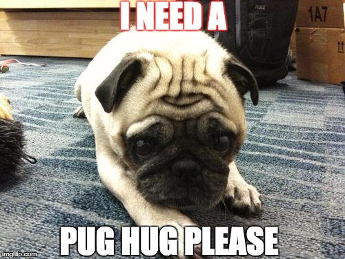 I NEED A; PUG HUG PLEASE | image tagged in pug hug | made w/ Imgflip meme maker
