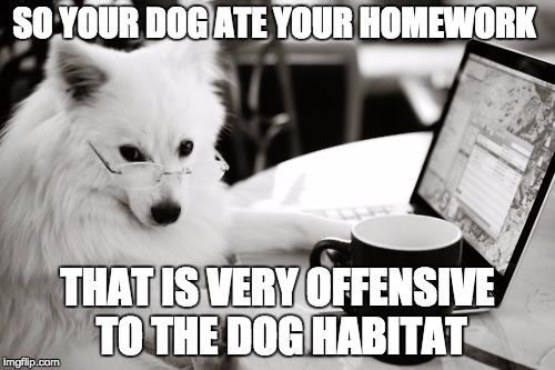 homework excuse | SO YOUR DOG ATE YOUR HOMEWORK; THAT IS VERY OFFENSIVE TO THE DOG HABITAT | image tagged in homework excuse,memes | made w/ Imgflip meme maker