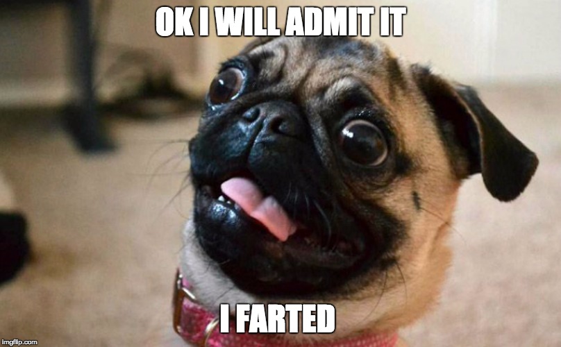 I FARTED | OK I WILL ADMIT IT; I FARTED | image tagged in i farted memes,funny memes,memes,so true memes | made w/ Imgflip meme maker