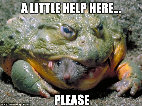 A LITTLE HELP HERE... PLEASE | image tagged in mouse,toad | made w/ Imgflip meme maker