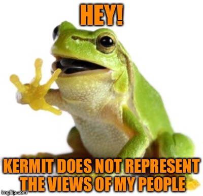 HEY! KERMIT DOES NOT REPRESENT THE VIEWS OF MY PEOPLE | image tagged in frog,kermit the frog | made w/ Imgflip meme maker