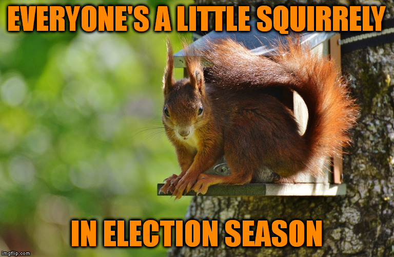 EVERYONE'S A LITTLE SQUIRRELY IN ELECTION SEASON | made w/ Imgflip meme maker