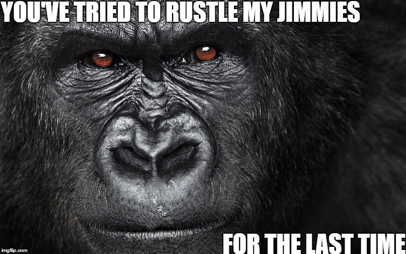 YOU'VE TRIED TO RUSTLE MY JIMMIES; FOR THE LAST TIME | image tagged in rustle my jimmies,gorilla | made w/ Imgflip meme maker