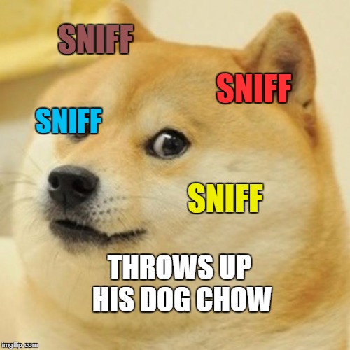 Doge Meme | SNIFF SNIFF SNIFF SNIFF THROWS UP HIS DOG CHOW | image tagged in memes,doge | made w/ Imgflip meme maker