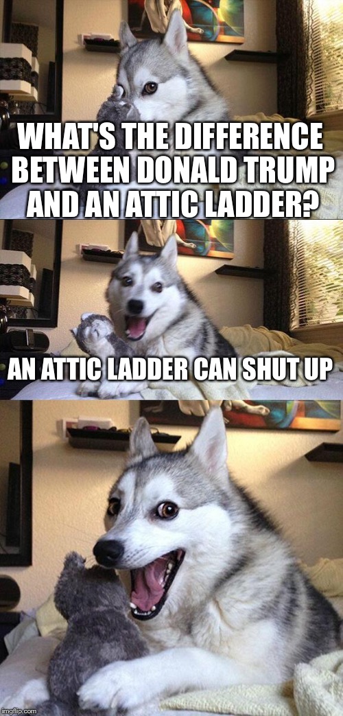 Bad Pun Dog Meme | WHAT'S THE DIFFERENCE BETWEEN DONALD TRUMP AND AN ATTIC LADDER? AN ATTIC LADDER CAN SHUT UP | image tagged in memes,bad pun dog | made w/ Imgflip meme maker