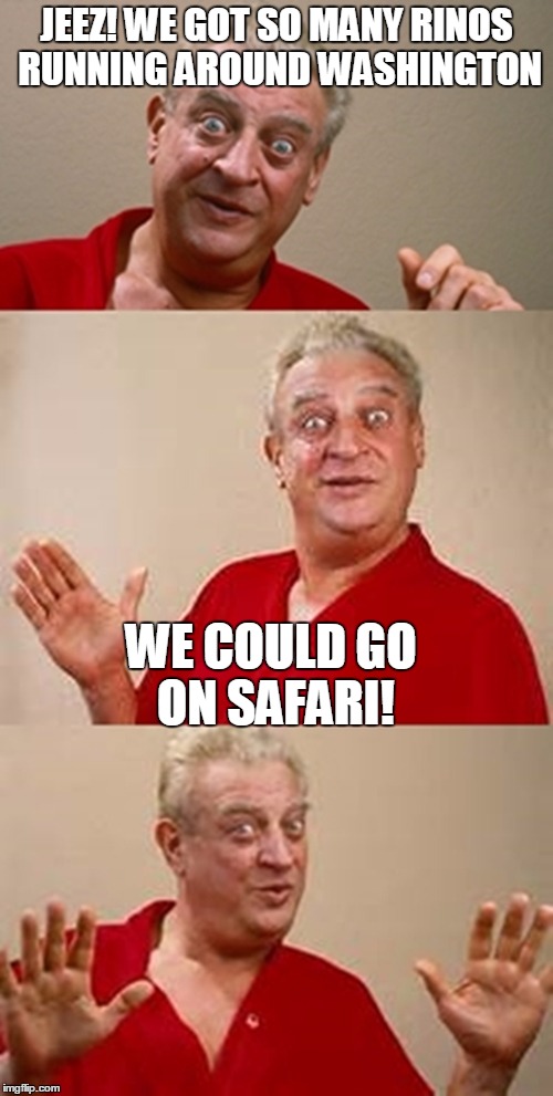 Credit to my daddy | JEEZ! WE GOT SO MANY RINOS RUNNING AROUND WASHINGTON; WE COULD GO ON SAFARI! | image tagged in bad pun dangerfield,republicans,washington dc | made w/ Imgflip meme maker