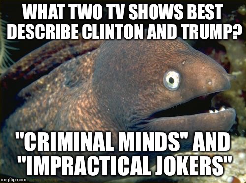 Bad Joke Eel Meme | WHAT TWO TV SHOWS BEST DESCRIBE CLINTON AND TRUMP? "CRIMINAL MINDS" AND "IMPRACTICAL JOKERS" | image tagged in memes,bad joke eel | made w/ Imgflip meme maker