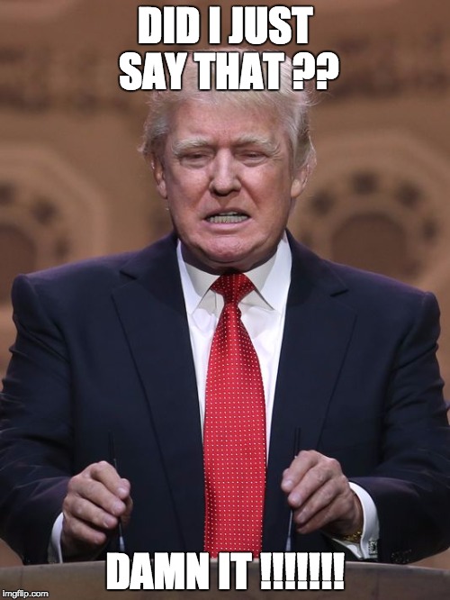 Donald Trump | DID I JUST SAY THAT ?? DAMN IT !!!!!!! | image tagged in donald trump | made w/ Imgflip meme maker