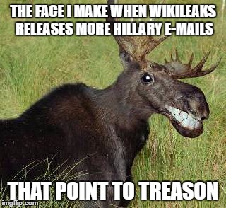 Grinnin' moose | THE FACE I MAKE WHEN WIKILEAKS RELEASES MORE HILLARY E-MAILS; THAT POINT TO TREASON | image tagged in grinnin' moose | made w/ Imgflip meme maker