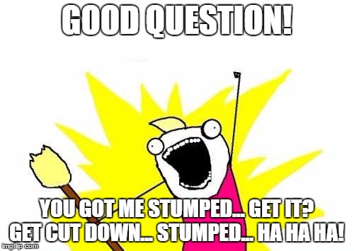 X All The Y Meme | GOOD QUESTION! YOU GOT ME STUMPED... GET IT? GET CUT DOWN... STUMPED... HA HA HA! | image tagged in memes,x all the y | made w/ Imgflip meme maker