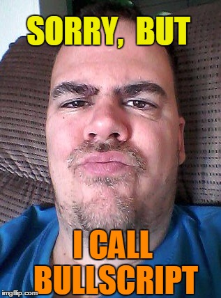 Scowl | SORRY,  BUT I CALL BULLSCRIPT | image tagged in scowl | made w/ Imgflip meme maker