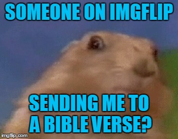 SOMEONE ON IMGFLIP SENDING ME TO A BIBLE VERSE? | made w/ Imgflip meme maker