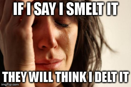 First World Problems Meme | IF I SAY I SMELT IT THEY WILL THINK I DELT IT | image tagged in memes,first world problems | made w/ Imgflip meme maker