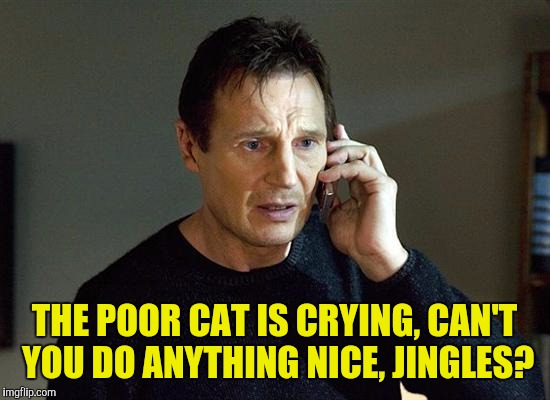 THE POOR CAT IS CRYING, CAN'T YOU DO ANYTHING NICE, JINGLES? | made w/ Imgflip meme maker
