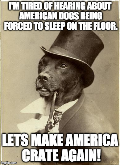 Old Money Dog | I'M TIRED OF HEARING ABOUT AMERICAN DOGS BEING FORCED TO SLEEP ON THE FLOOR. LETS MAKE AMERICA CRATE AGAIN! | image tagged in old money dog | made w/ Imgflip meme maker