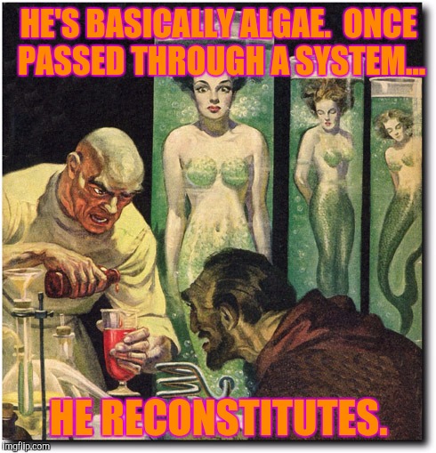 HE'S BASICALLY ALGAE.  ONCE PASSED THROUGH A SYSTEM... HE RECONSTITUTES. | made w/ Imgflip meme maker