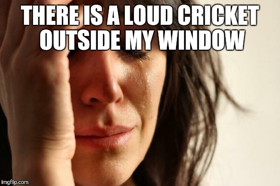 First World Problems | THERE IS A LOUD CRICKET OUTSIDE MY WINDOW | image tagged in memes,first world problems | made w/ Imgflip meme maker