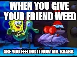 Are you feeling it now | WHEN YOU GIVE YOUR FRIEND WEED; ARE YOU FEELING IT NOW MR. KRABS | image tagged in are you feeling it now | made w/ Imgflip meme maker