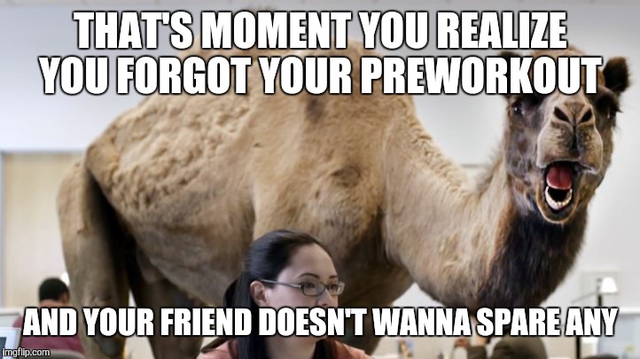 Hump Day Camel | THAT'S MOMENT YOU REALIZE YOU FORGOT YOUR PREWORKOUT; AND YOUR FRIEND DOESN'T WANNA SPARE ANY | image tagged in hump day camel | made w/ Imgflip meme maker