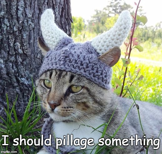 Viking cat crochete hat | I should pillage something | image tagged in viking cat crochete hat | made w/ Imgflip meme maker