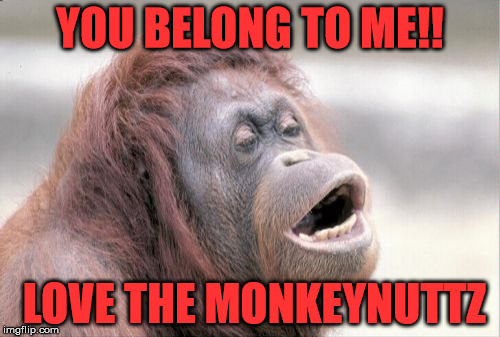 Monkey OOH Meme | YOU BELONG TO ME!! LOVE THE MONKEYNUTTZ | image tagged in memes,monkey ooh | made w/ Imgflip meme maker