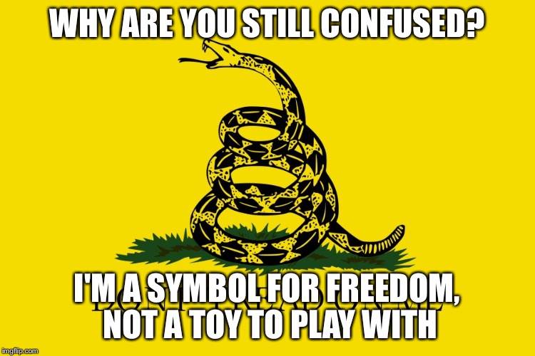 It's American Made! |  WHY ARE YOU STILL CONFUSED? I'M A SYMBOL FOR FREEDOM, NOT A TOY TO PLAY WITH | image tagged in gadsden | made w/ Imgflip meme maker