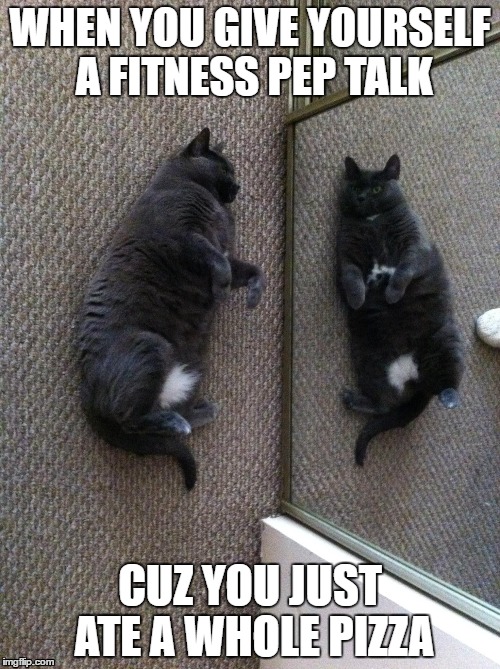 The pep talk | WHEN YOU GIVE YOURSELF A FITNESS PEP TALK; CUZ YOU JUST ATE A WHOLE PIZZA | image tagged in fitness,pizza,pizza cat,cat | made w/ Imgflip meme maker