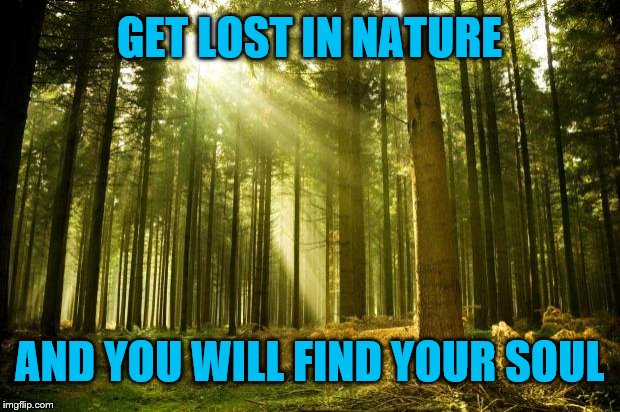 Get Lost in Nature | GET LOST IN NATURE; AND YOU WILL FIND YOUR SOUL | image tagged in sunlit forest,get lost,nature,soul,find,memes | made w/ Imgflip meme maker