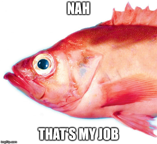 Red Herring | NAH THAT'S MY JOB | image tagged in red herring | made w/ Imgflip meme maker