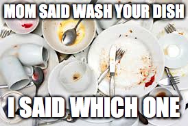 Dirty Dishes LOL | MOM SAID WASH YOUR DISH; I SAID WHICH ONE | image tagged in dirty dishes lol | made w/ Imgflip meme maker