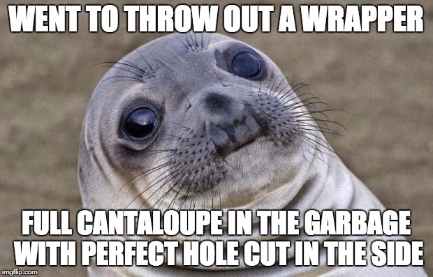 Awkward Moment Sealion Meme | WENT TO THROW OUT A WRAPPER; FULL CANTALOUPE IN THE GARBAGE WITH PERFECT HOLE CUT IN THE SIDE | image tagged in memes,awkward moment sealion | made w/ Imgflip meme maker