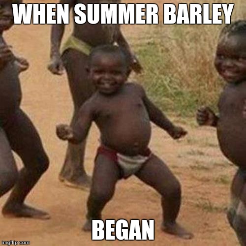 Third World Success Kid | WHEN SUMMER BARLEY; BEGAN | image tagged in memes,third world success kid | made w/ Imgflip meme maker