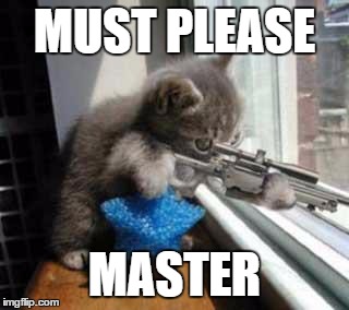 Deadshot's pet | MUST PLEASE; MASTER | image tagged in catsniper,memes,cat,cats | made w/ Imgflip meme maker