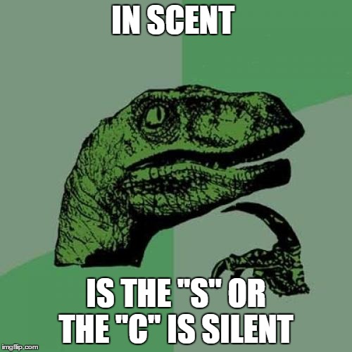 Philosoraptor Meme | IN SCENT; IS THE "S" OR THE "C" IS SILENT | image tagged in memes,philosoraptor | made w/ Imgflip meme maker