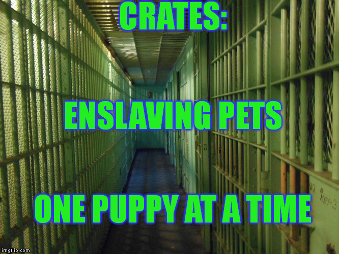CRATES: ONE PUPPY AT A TIME ENSLAVING PETS | made w/ Imgflip meme maker